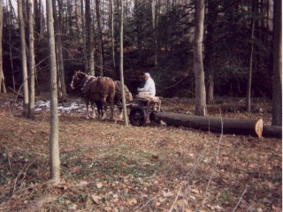 {short description of image}